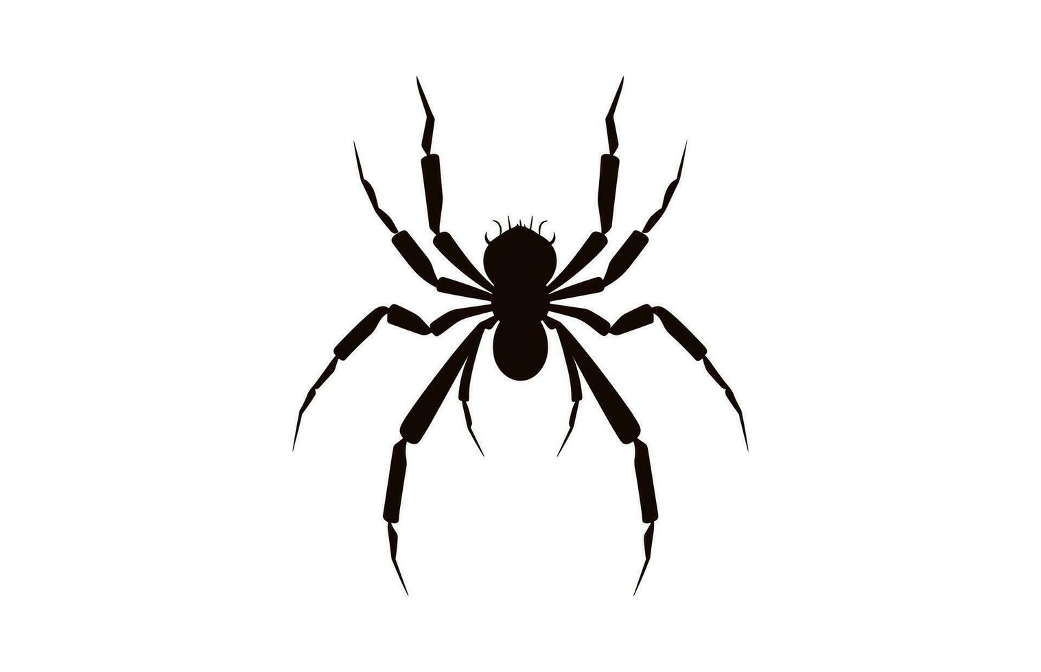 ein Spinne Vektor schwarz Silhouette isoliert auf ein Weiß Hintergrund