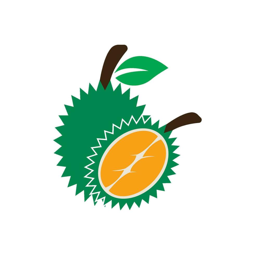 Durian logotyp ikon, vektor illustration design