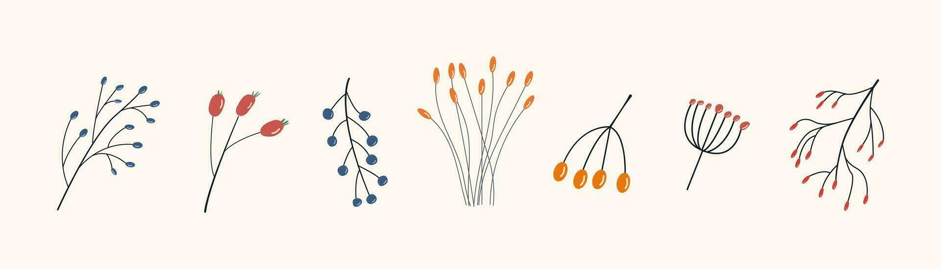 uppsättning av höst herbarium. annorlunda grenar och kvistar med bär och löv. kort med vild skog växter. vektor samling av botanisk design element. färgad platt illustration.