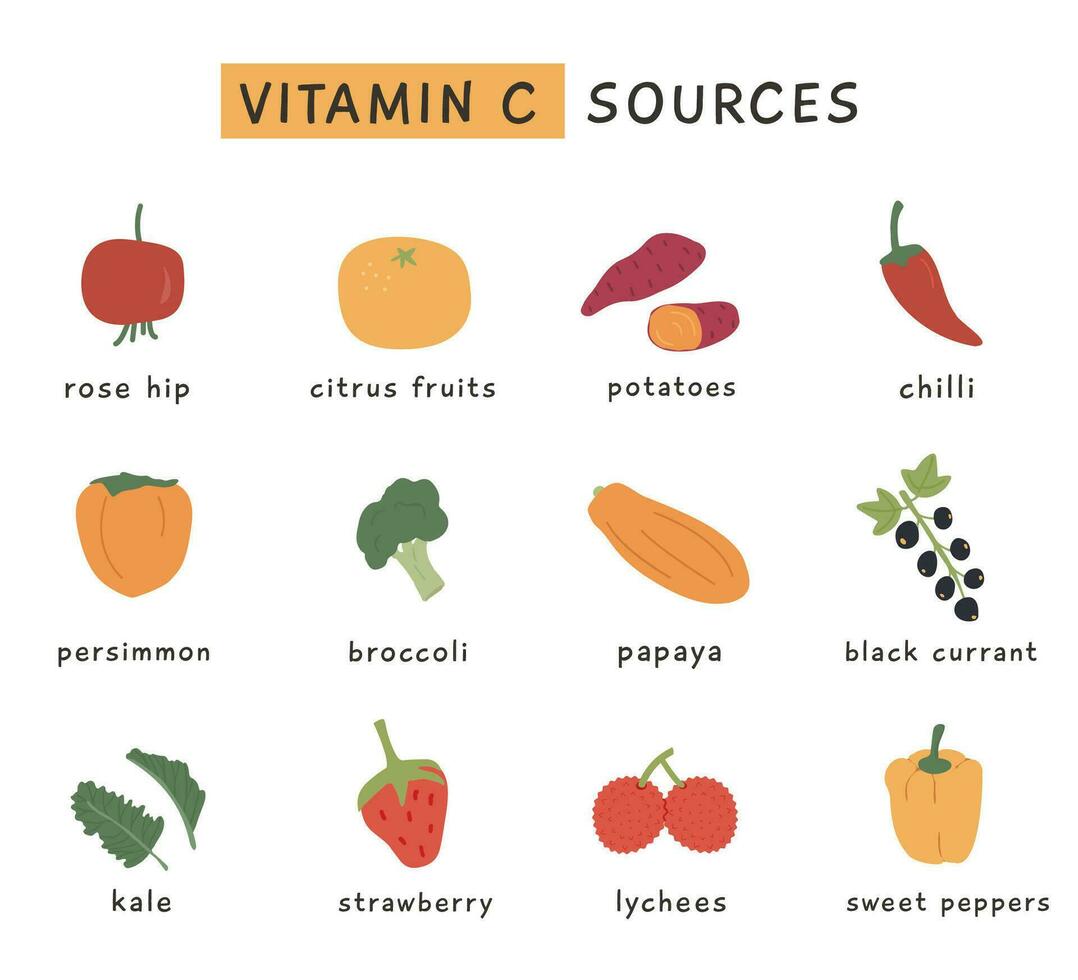 hög vitamin c mat källor för friska diet. ett information kort med högsta vitaminer c grönsaker och frukter. dietisk organisk näring. vektor illustration uppsättning i platt stil på vit bakgrund.