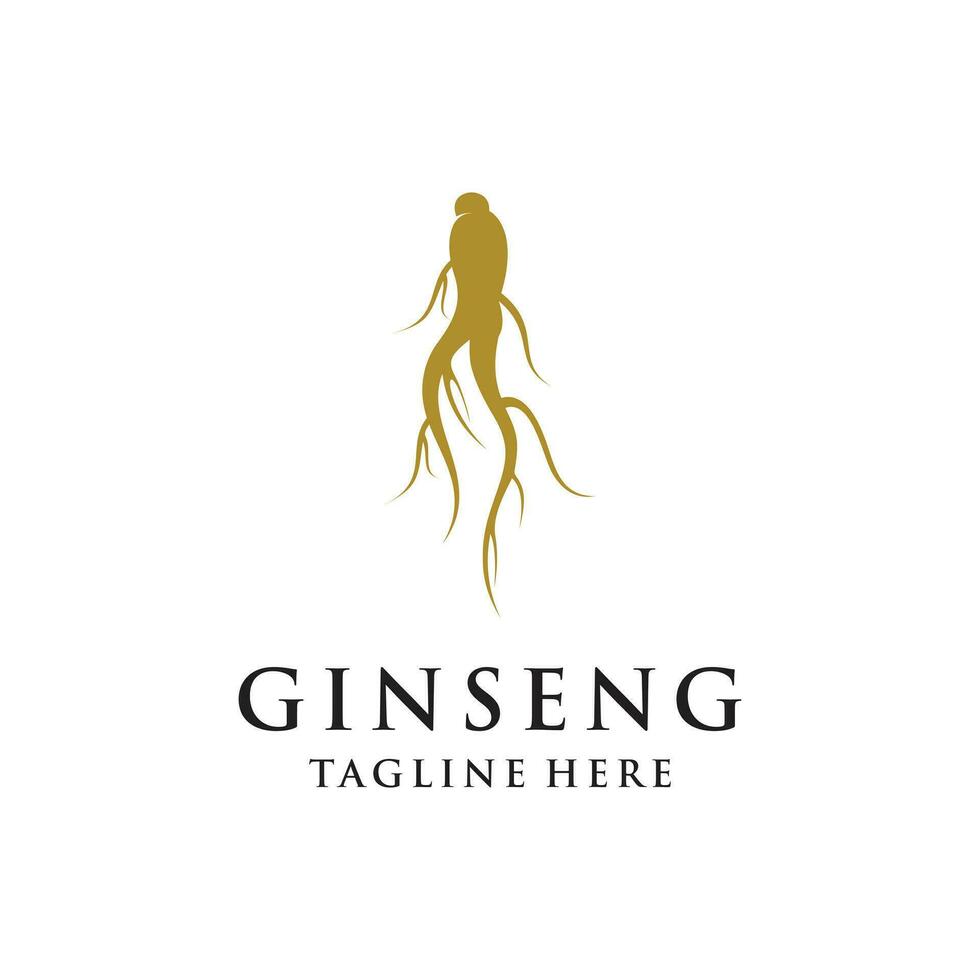 Vektor Ginseng Logo Kräuter- Pflanze Vektor natürlich Kräuter- Medizin Ginseng Kräuter- trinken Symbol