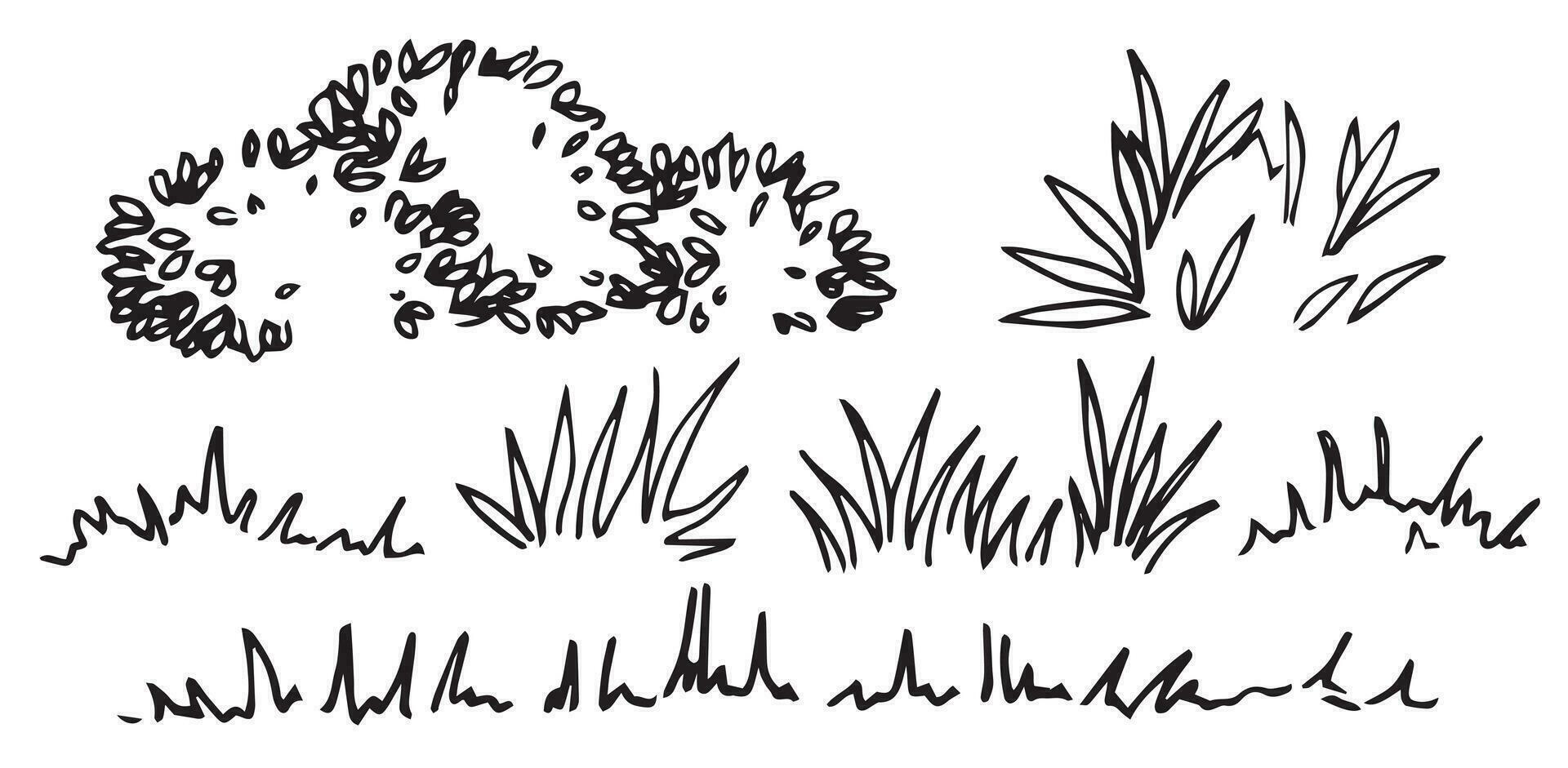 uppsättning av buskar, gräs och gräsmatta, hand teckning, frontal se. arkitektonisk bläck teckning, vektor. vektor
