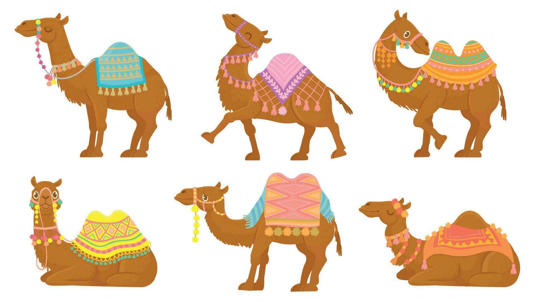 Karikatur Kamel. komisch Wüste Tiere mit Sattel. Kamele Vektor isoliert Zeichen Satz. wild arabisch Haustier