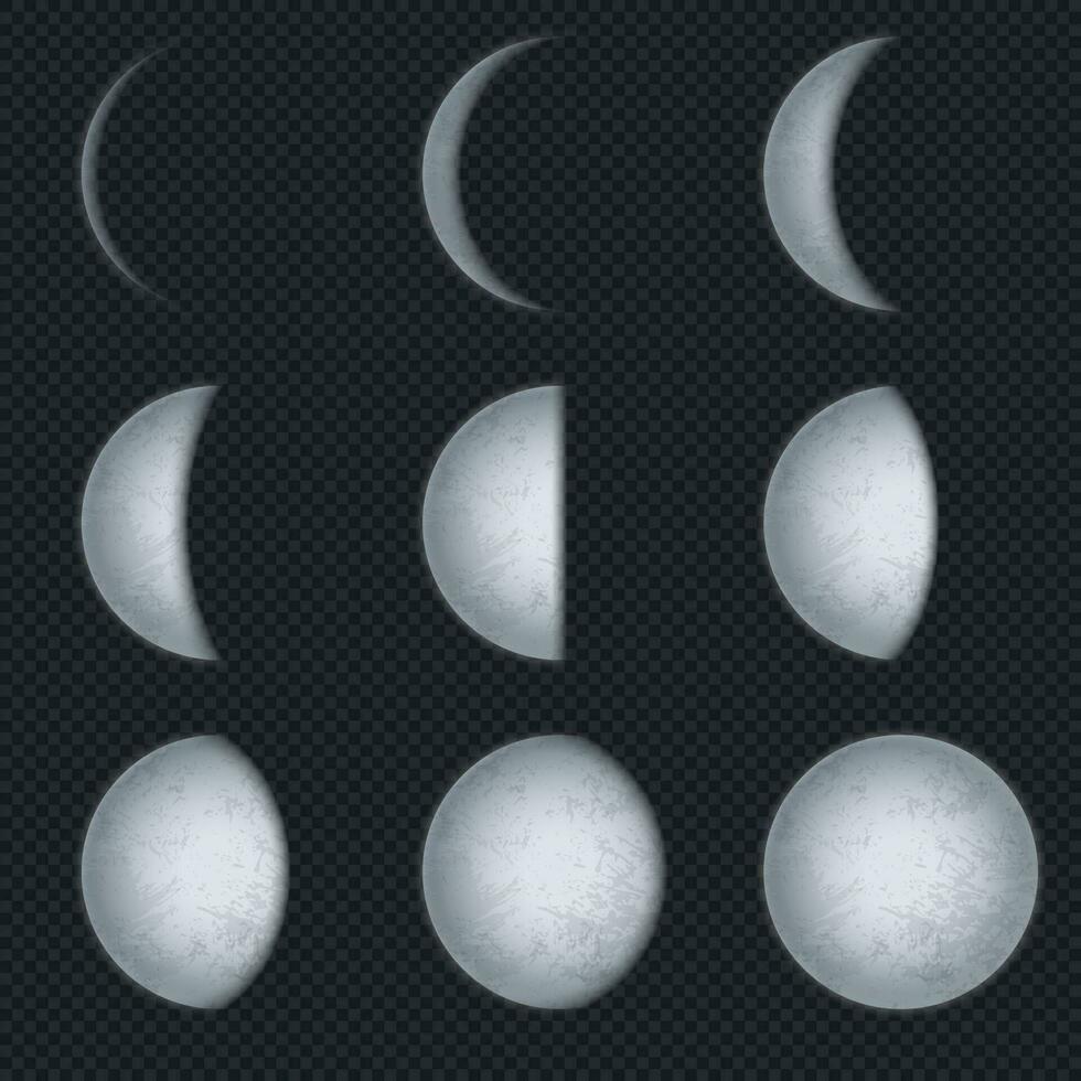 realistisk måne faser. lunar fas, full luna och ny halvmåne med natt himmel. jord satellit yta med textur astronomisk vektor uppsättning
