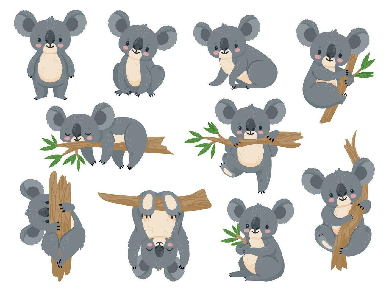 süß Karikatur Koala. faul Koalas mit Eukalyptus. wenig komisch Regenwald Tiere. australisch Bär Schlafen auf tropisch Baum Vektor einstellen