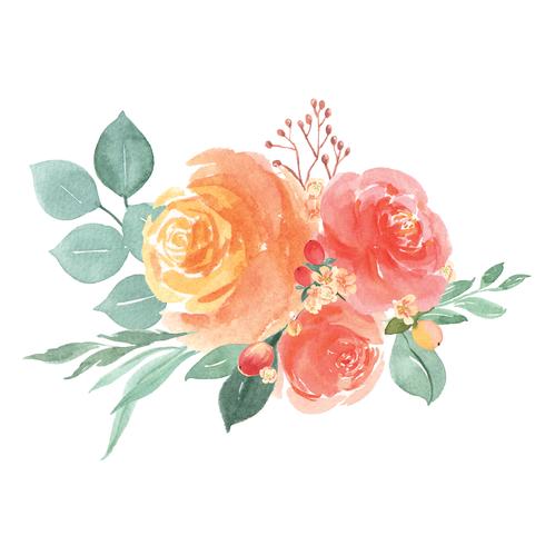 Akvarellblommor handmålade buketter frodiga blommor lustration vintage stil vektor