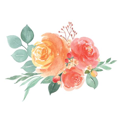 Handgemalte Blumensträuße der Aquarellblumen üppige Blumen Llustration Weinleseart vektor