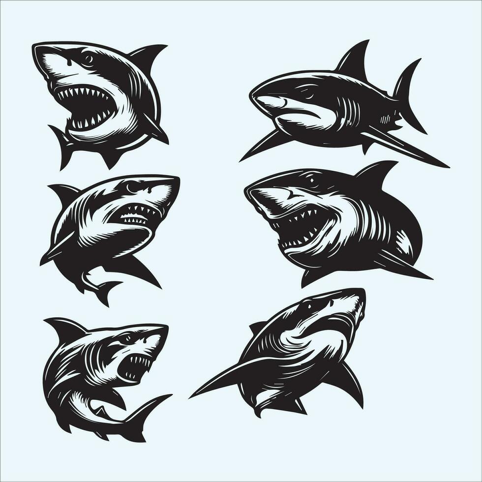 Hai Vektor einstellen Sammlung Illustration im schwarz und Weiß Farben isoliert