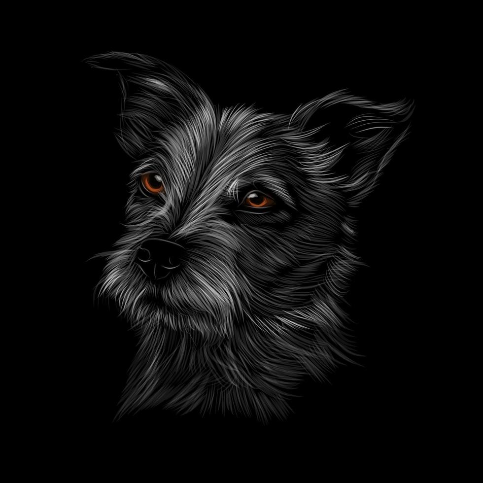 Jack Russell Terrier Kopfporträt auf schwarzem Hintergrund. Vektor-Illustration von Farben vektor