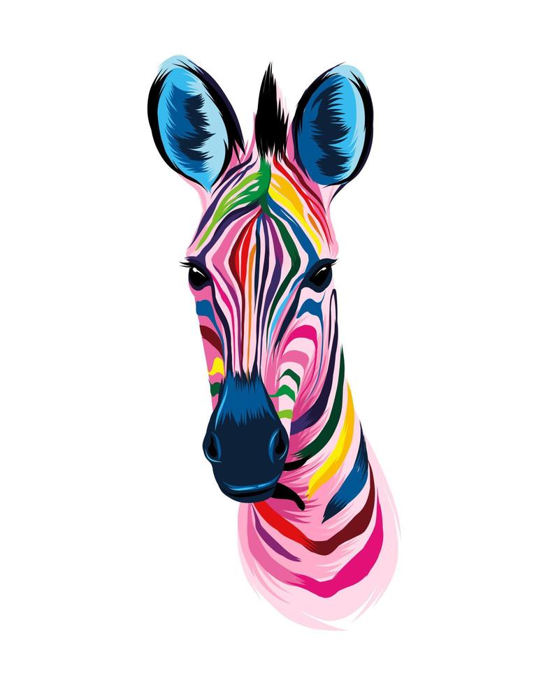 zebrahuvudporträtt från mångfärgade färger. stänk av akvarell, färgad ritning, realistisk. vektor illustration av färger