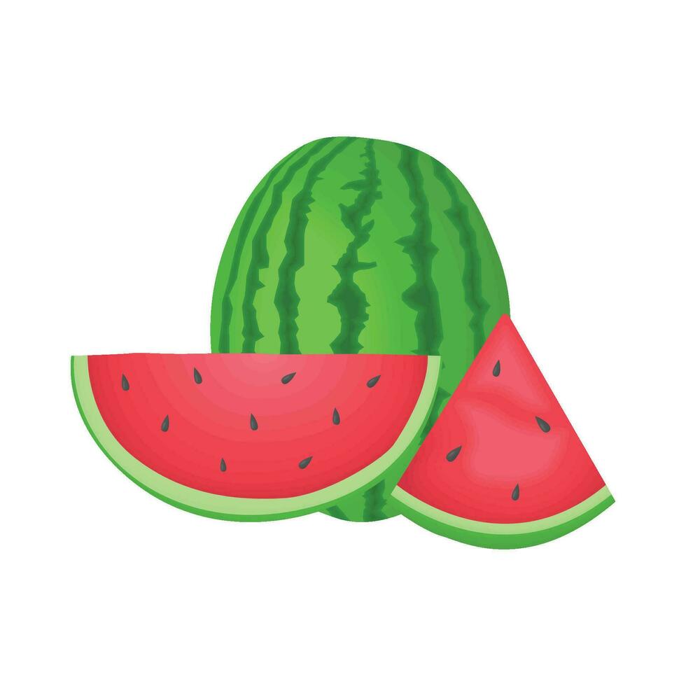 Illustration von Wassermelone vektor