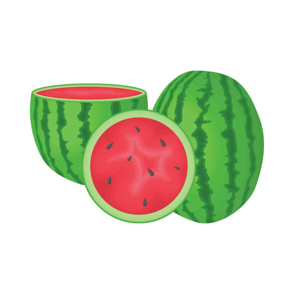 Illustration von Wassermelone vektor