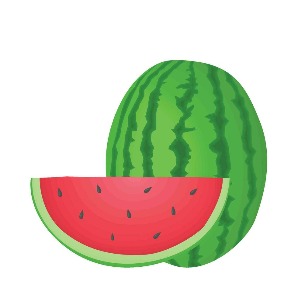 Illustration von Wassermelone vektor