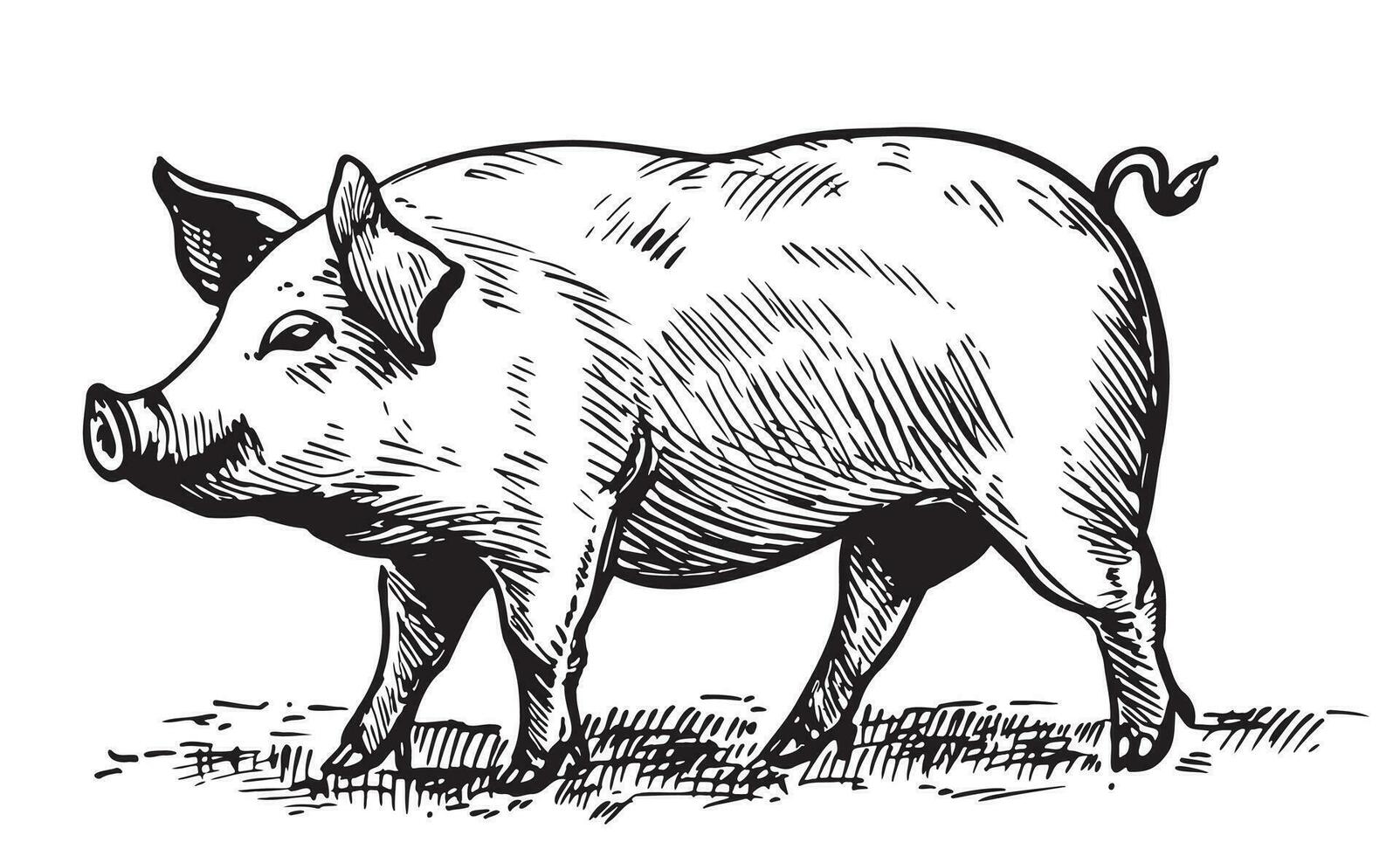 Fett Ferkel im Grafik Stil Landwirtschaft und Tier Haltung Vektor Illustration