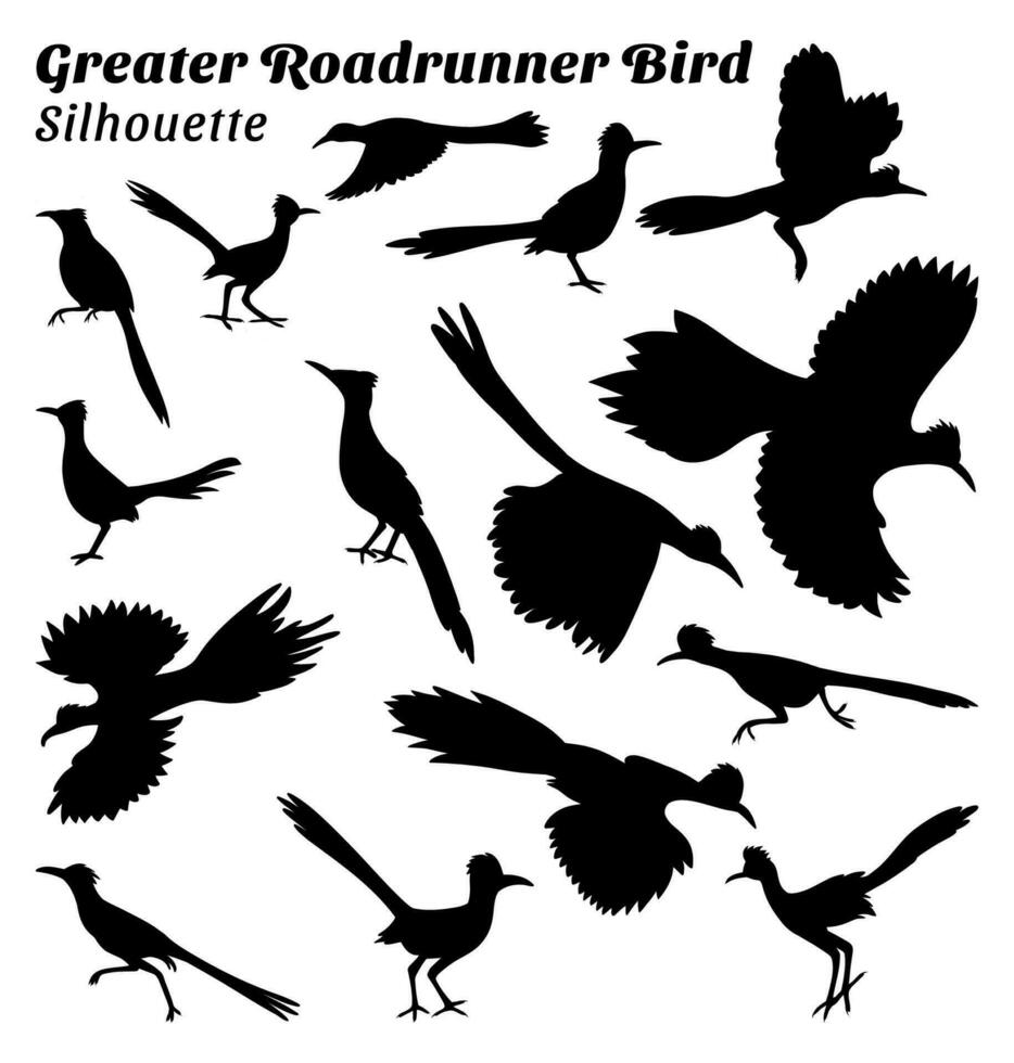 större roadrunner vektor illustration silhuett uppsättning