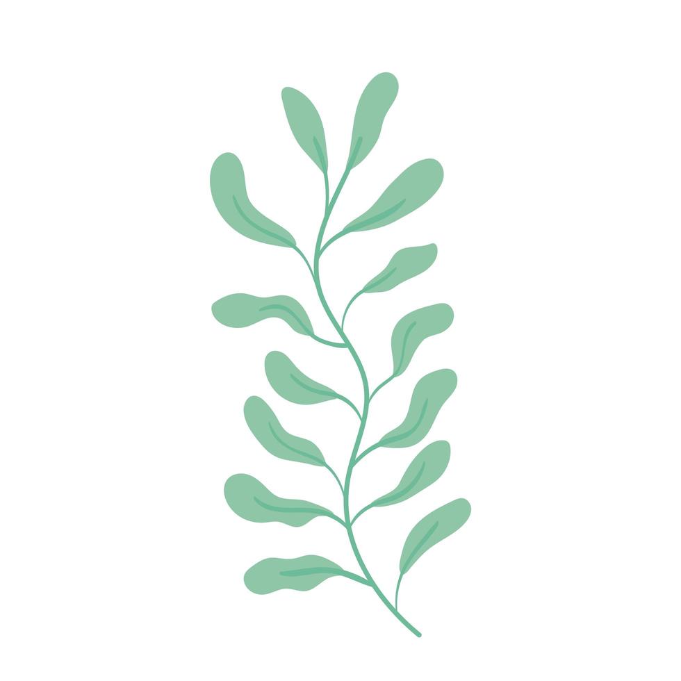 grenblad växt vektor