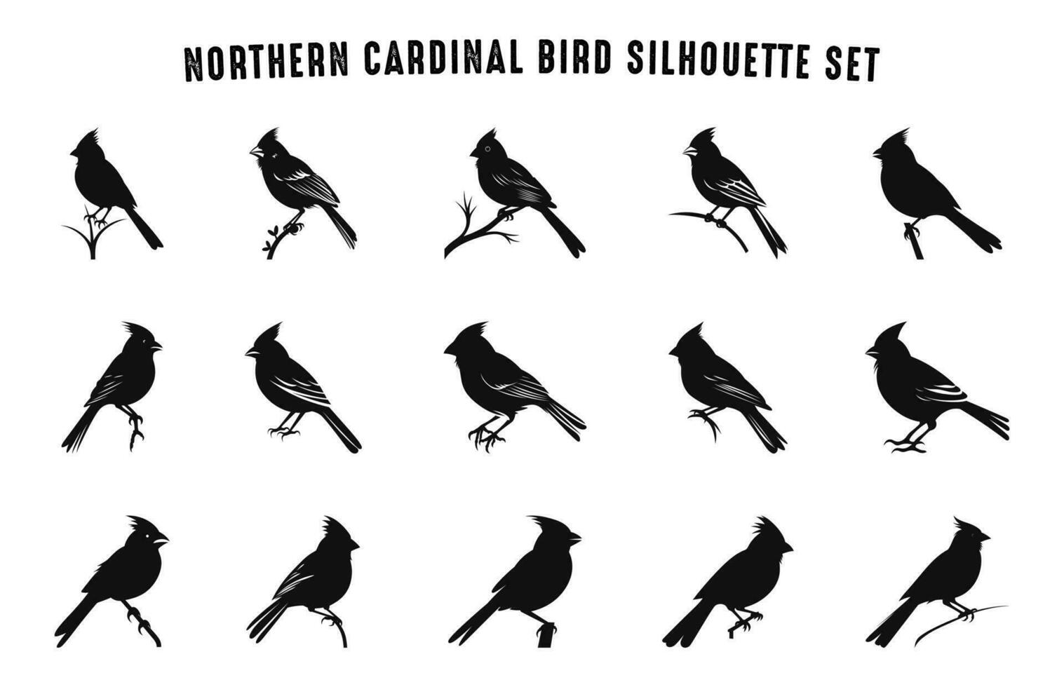 Nord Kardinal Vogel Silhouetten Vektor Satz, Kardinal Vogel Silhouette Vektor Sammlung