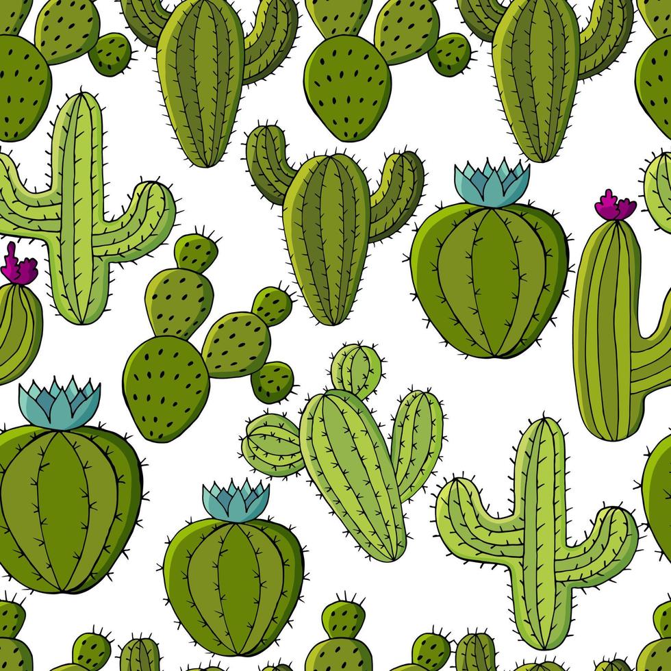 söt vektor illustration. kaktusar, aloe, succulenter. dekorativa naturelement