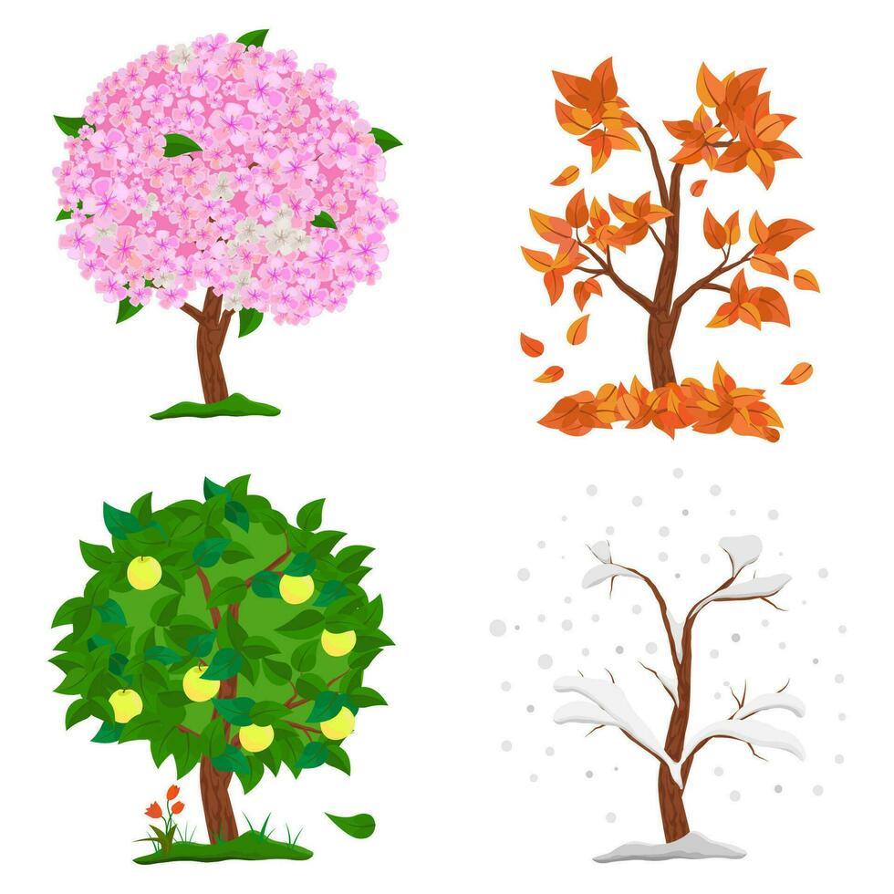 Baum im vier Jahreszeiten - - Frühling, Sommer, Herbst, Winter. Sammlung von Apfel Bäume isoliert auf Weiß Hintergrund. Bäume mit Grün und Orange Blätter, Blumen und Schnee auf das Geäst. Vektor Illustration