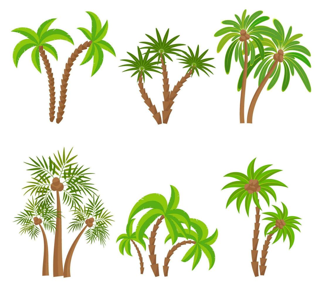 anders Palme Bäume einstellen isoliert auf Weiß Hintergrund. tropisch Pflanzen Vektor Illustration. Regenwald Urwald Pflanzen. Sommer- Strand Resort Dekoration.