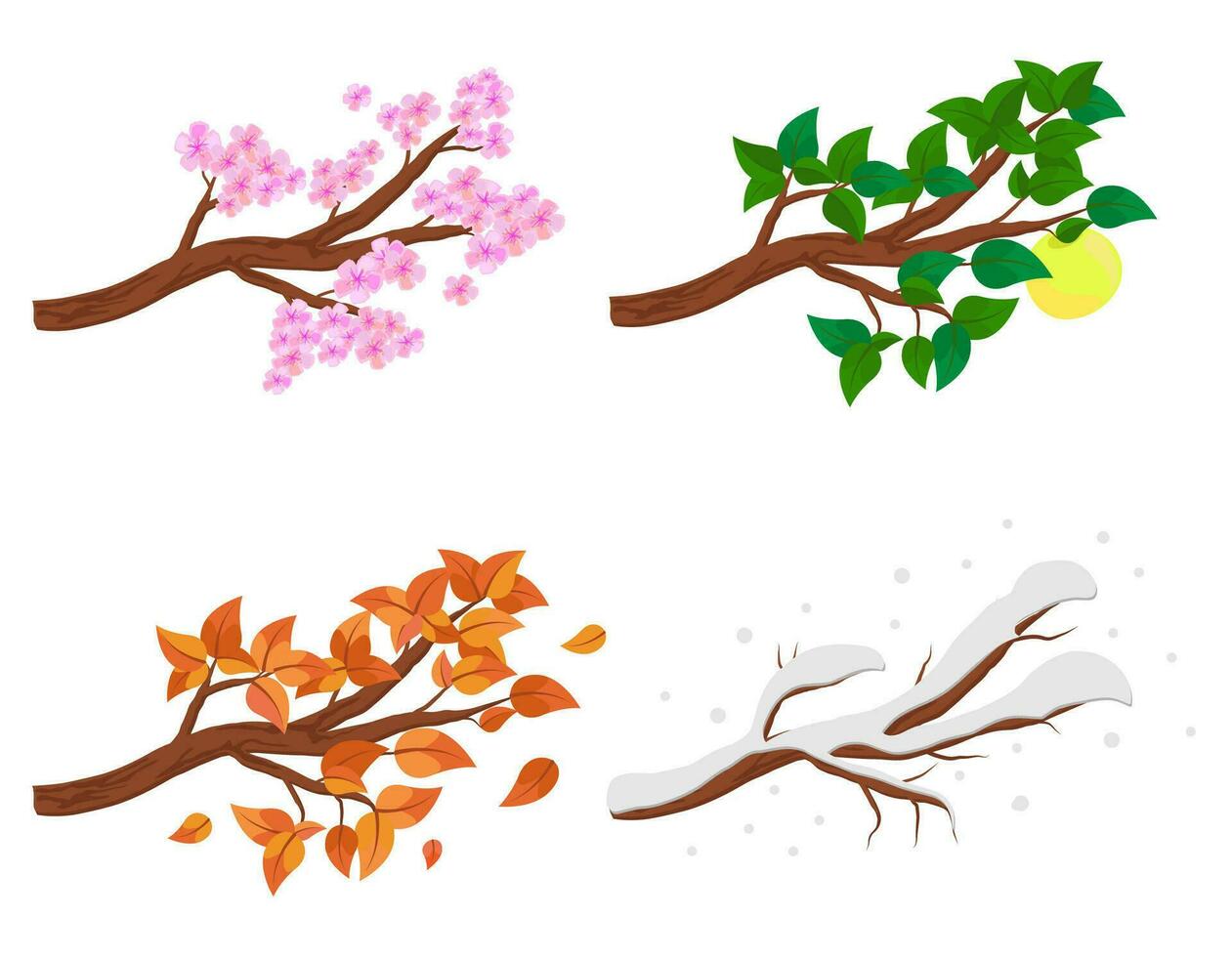 gren i fyra säsonger - vår, sommar, höst, vinter. samling av äpple träd isolerat på vit bakgrund. grön och orange löv, blommor och snö på de grenar isolerat. vektor illustration