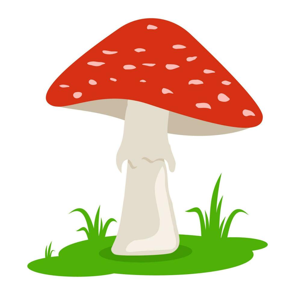 Karikatur rot Pilze auf das Gras isoliert auf Weiß Hintergrund. Wald vergiften Pilz. Amanita im eben Stil. Vektor Illustration