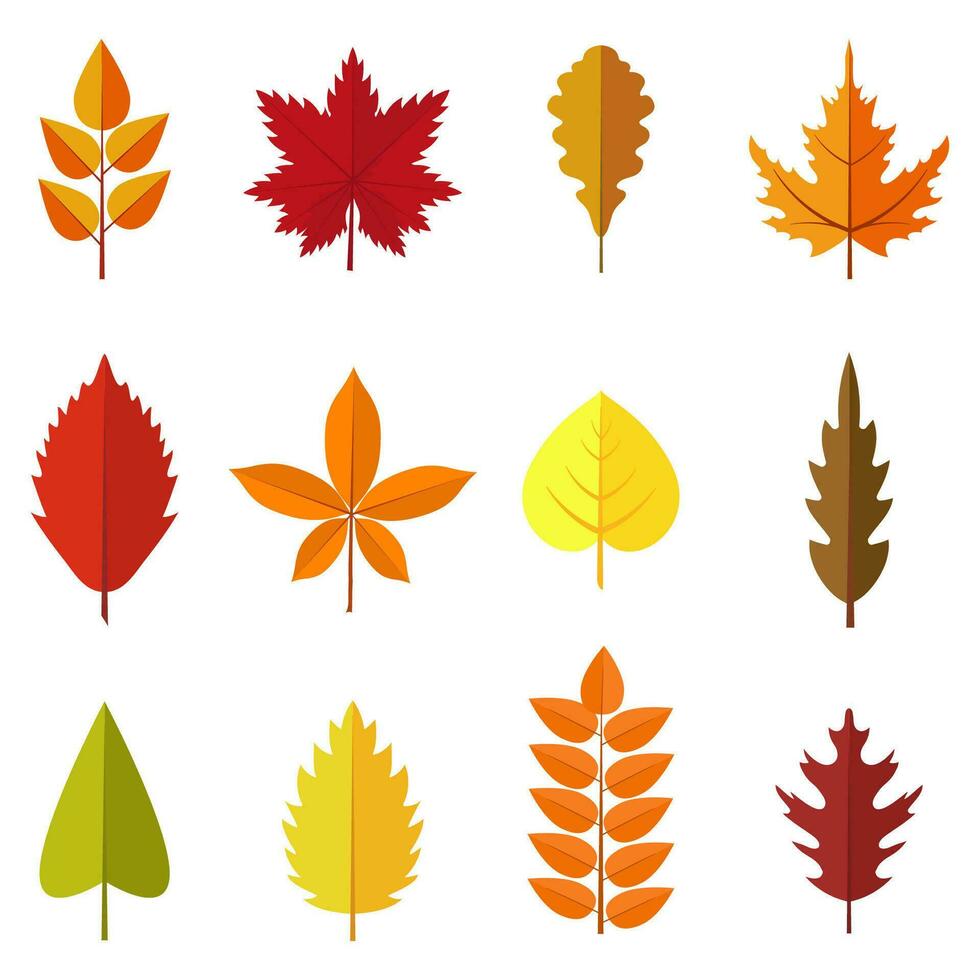 einstellen von bunt Herbst Blätter isoliert auf Weiß Hintergrund. Grün, rot und Orange gefallen Herbst Blätter Sammlung im eben Stil. Vektor Illustration
