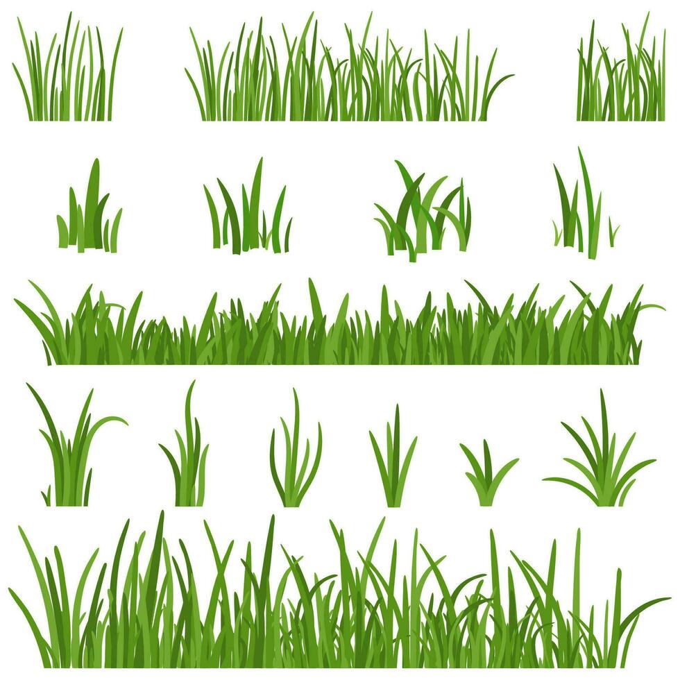 einstellen von Grün Gras isoliert auf Weiß Hintergrund. Gras Höhen Design Elemente von Natur. Rasen Vektor Illustration