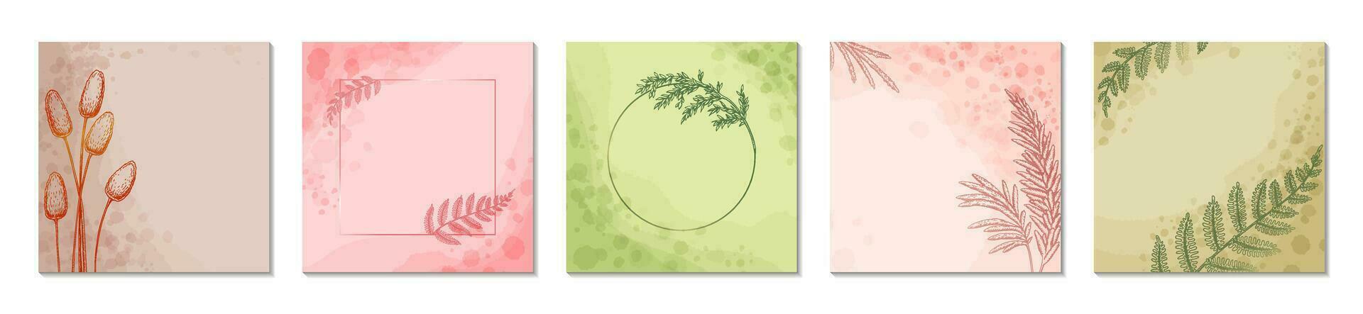 Frühling Sommer- loral Sozial Medien Platz Post Vorlagen Satz. Wasserfarbe Grün, Beige, Rosa, Pastell- abstrakt Blume Hintergrund und Gruß Karten Design. Kreis und Platz botanisch Pflanze Rahmen vektor