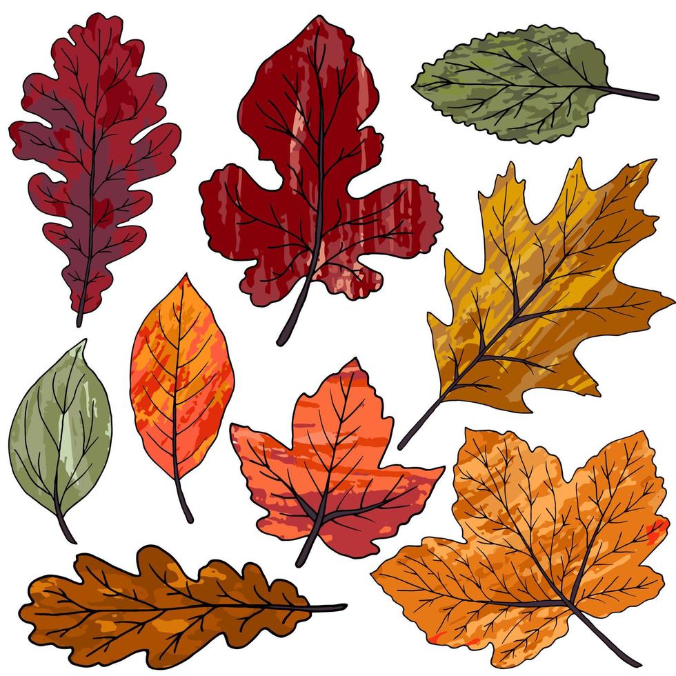 Reihe von Vektorzeichnungen mit Acrylfarben. Sammlung von Herbstblättern vektor