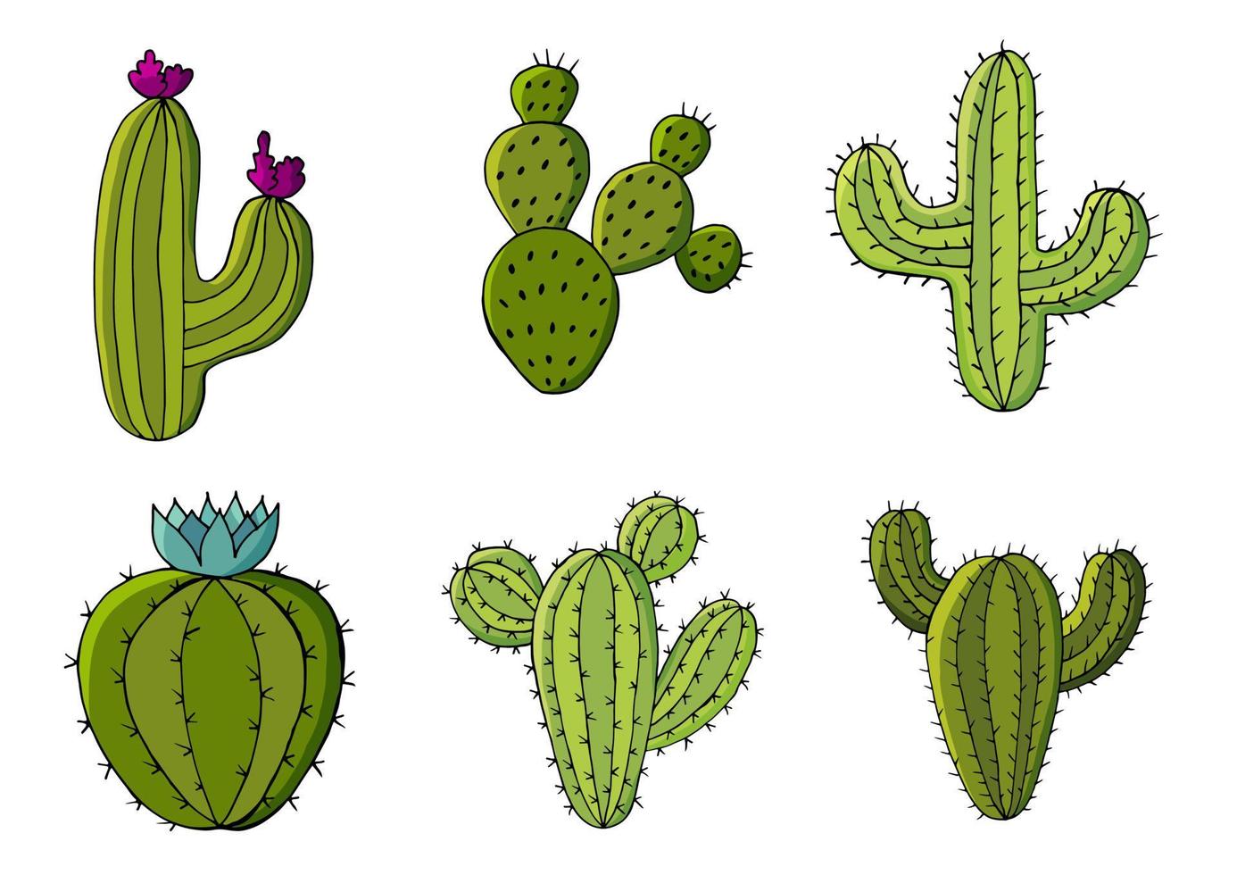söt vektor illustration. kaktusar, aloe, succulenter. dekorativa naturelement