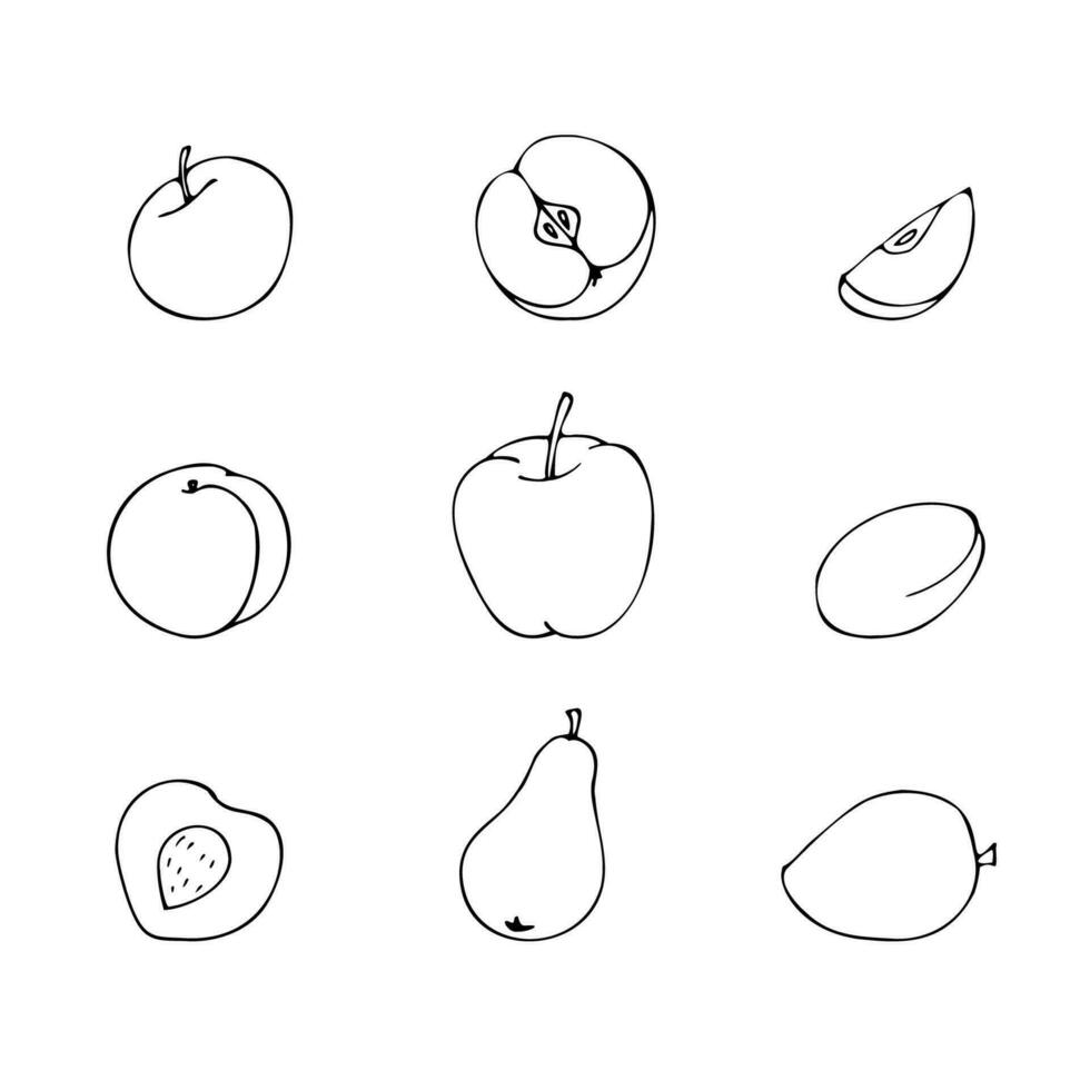 Vektor skizzieren einstellen von Früchte im Karikatur Stil auf ein Weiß Hintergrund, gezeichnet durch Hand.