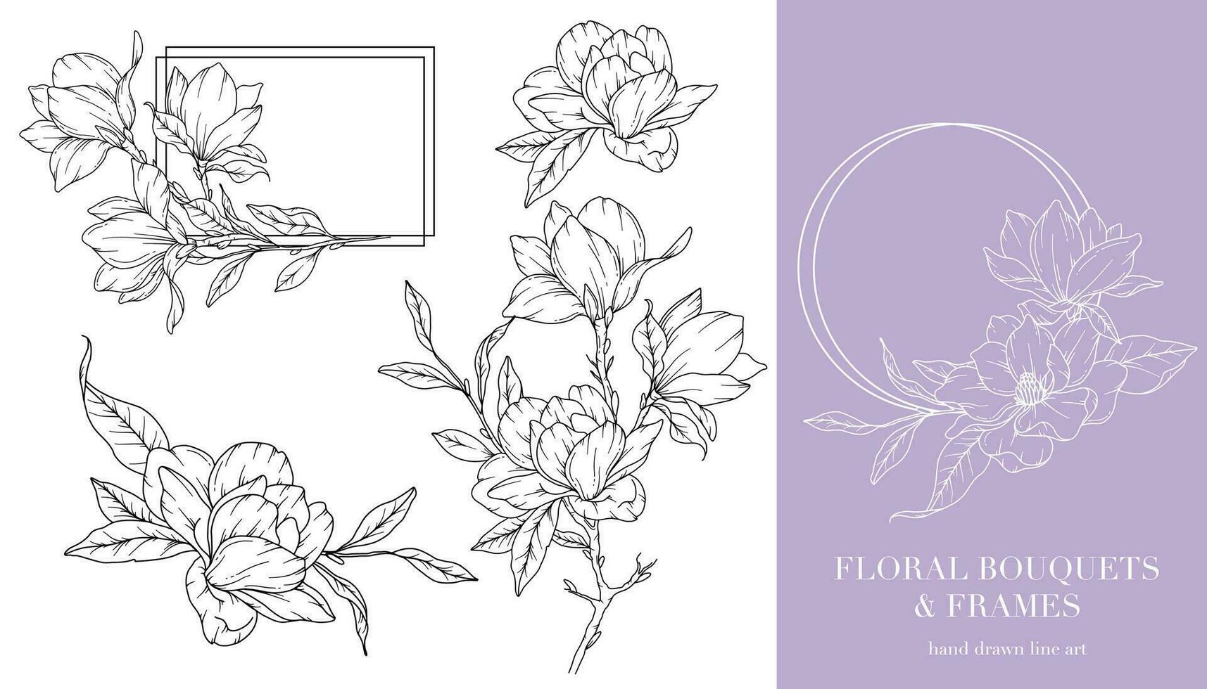 magnolia linje teckning. blommig ramar och buketter. blommig linje konst. bra linje magnolia ramar hand dragen illustration. hand dragen översikt magnolior. botanisk färg sida. magnolia isolerat vektor