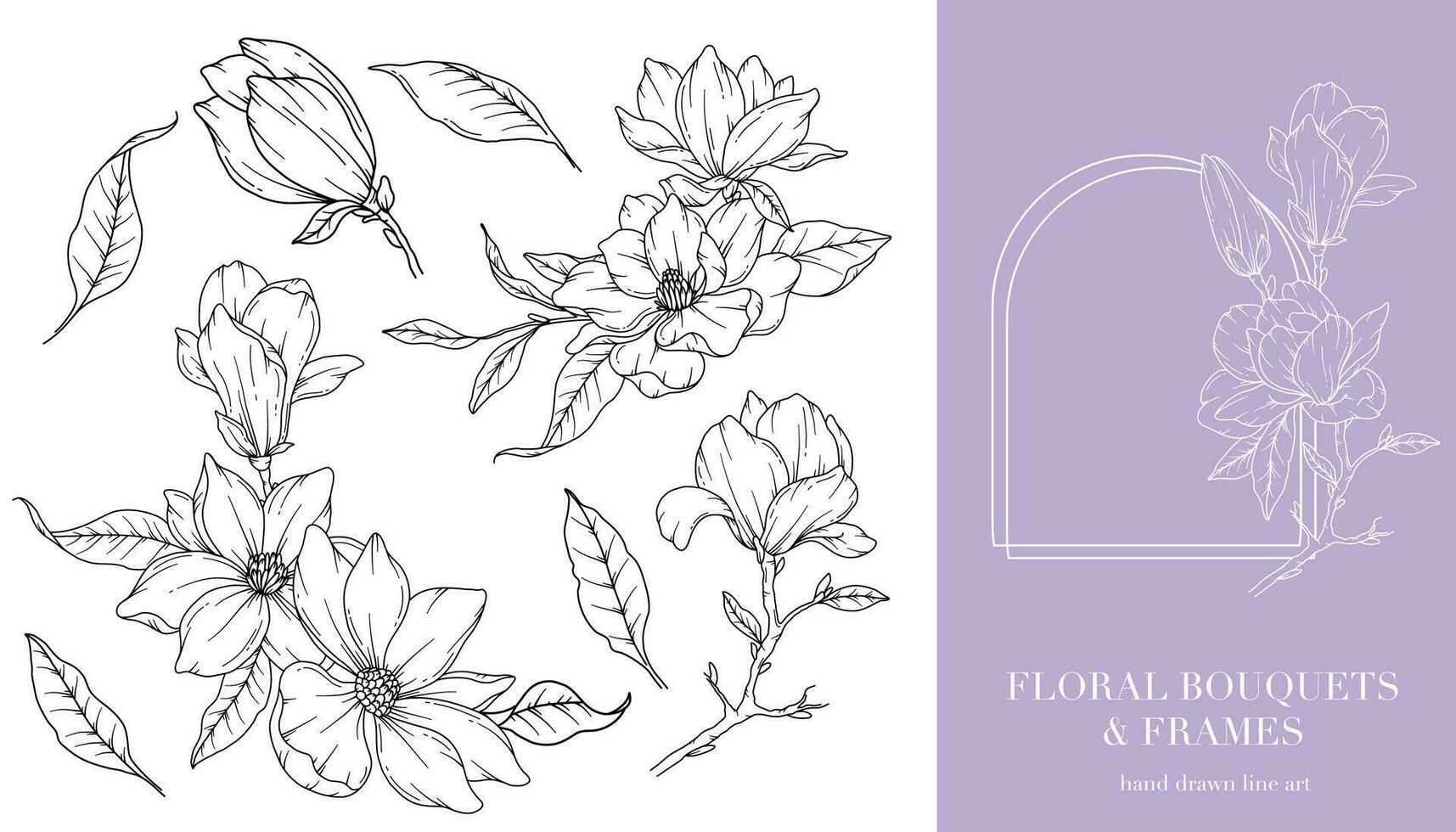 Magnolie Linie Zeichnung. Blumen- Frames und Blumensträuße. Blumen- Linie Kunst. fein Linie Magnolie Frames Hand gezeichnet Illustration. Hand gezeichnet Gliederung Magnolien. botanisch Färbung Buchseite. Magnolie isoliert vektor