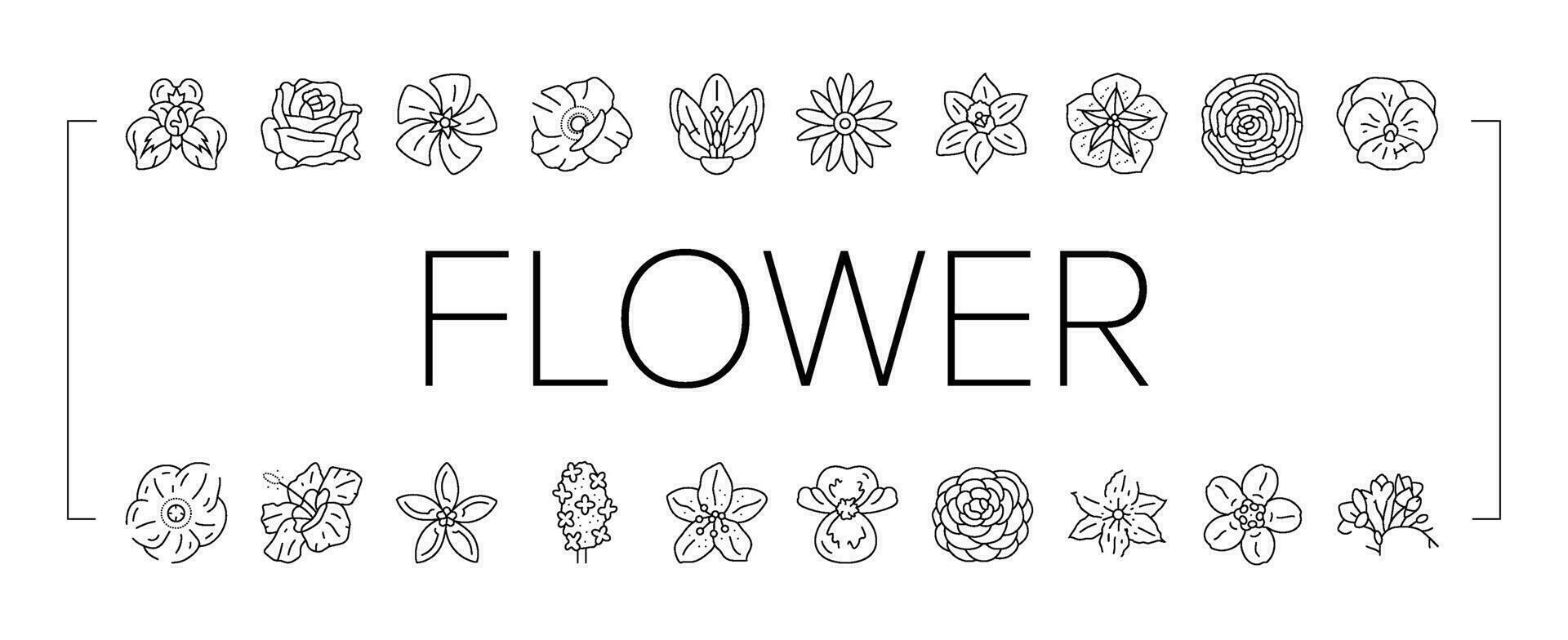 blomma blomma vår ikoner uppsättning vektor