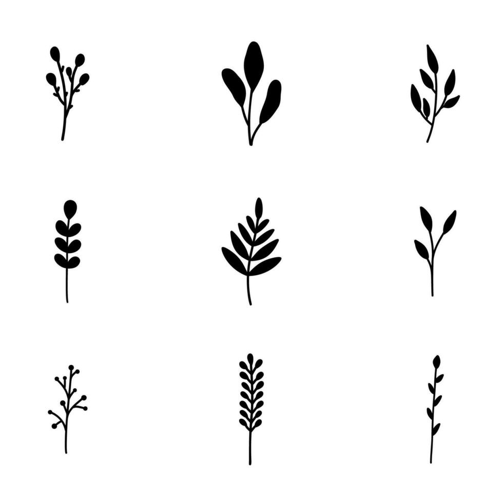 schwarz Geäst mit Blätter Silhouetten Vektor Symbole Satz. natürlich botanisch Elemente isoliert auf Weiß Hintergrund.
