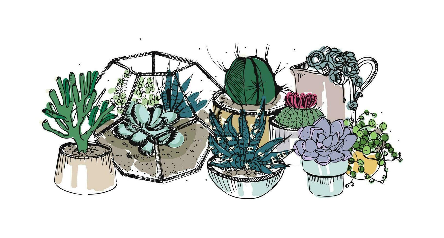kaktus och suckulenter sammansättning. samling växter i krukor, florarium. färgrik vektor hand dragen illustration i skiss stil, isolerat på vit bakgrund.