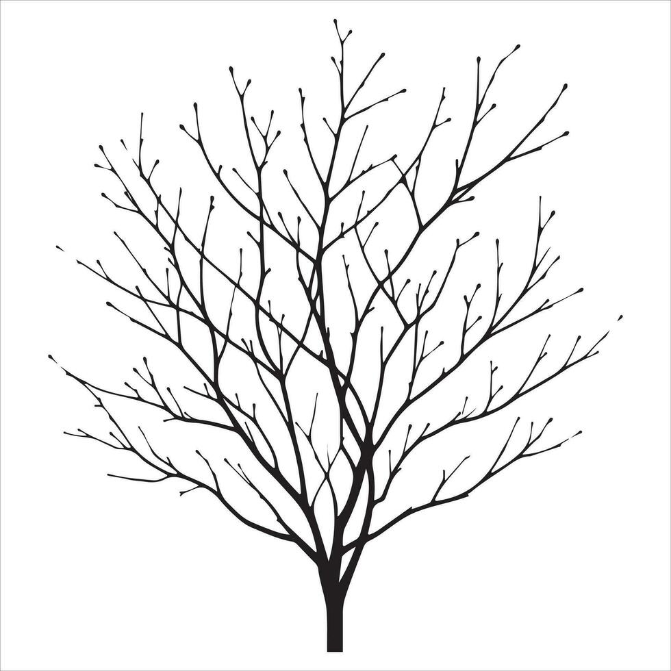 nackt Baum Vektor Silhouette schwarz Farbe, ein tot Baum Vektor Silhouette, Baum Geäst Silhouette