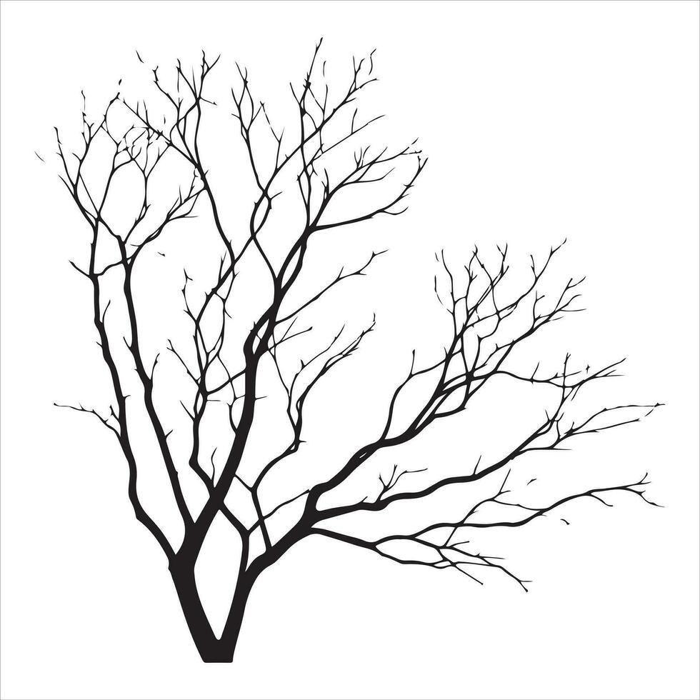 minimal Herbst nackt Baum Vektor Silhouette