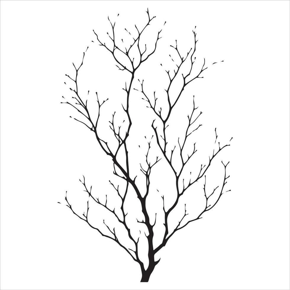 minimal Herbst nackt Baum Vektor Silhouette