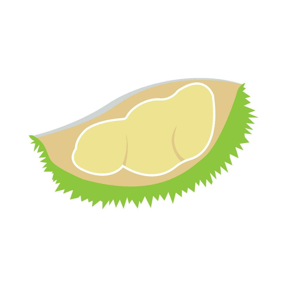 färsk Durian frukt ikon vektor