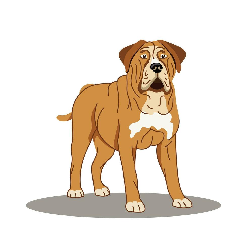 ett engelsk mastiff hund. vektor illustration på en vit bakgrund