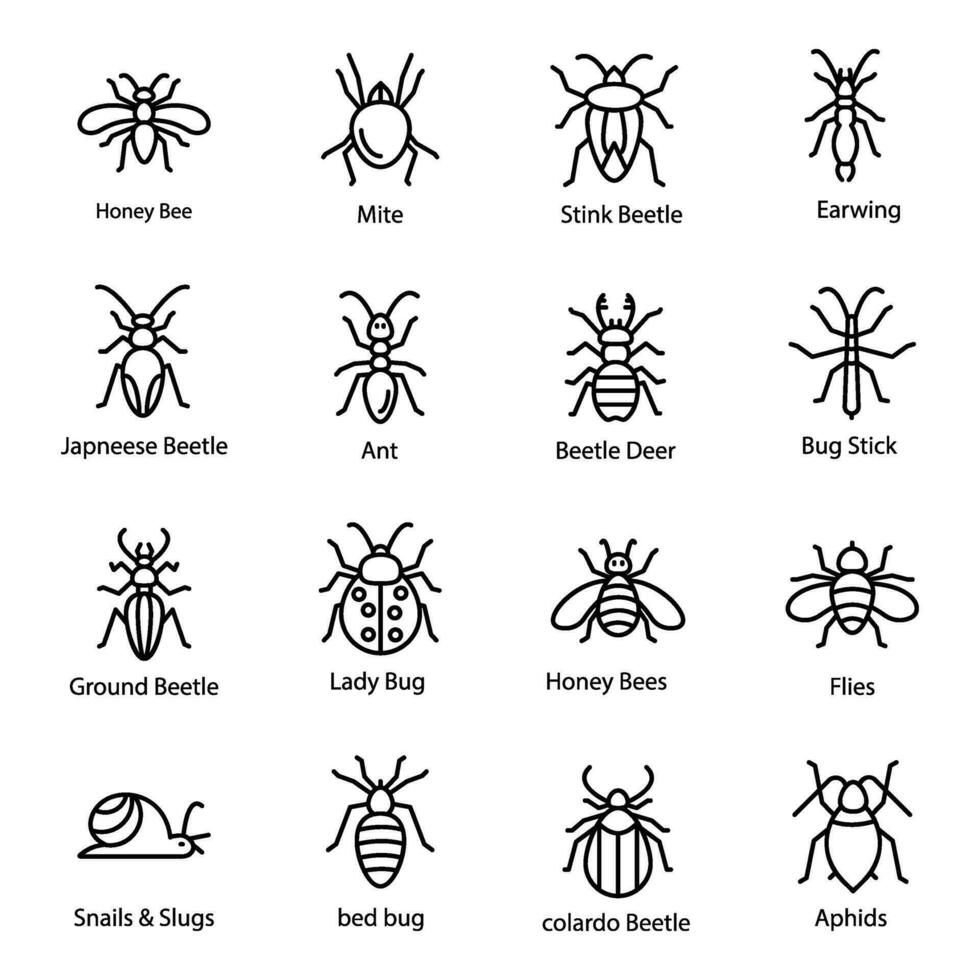 Pack von Motten Linie Symbole vektor