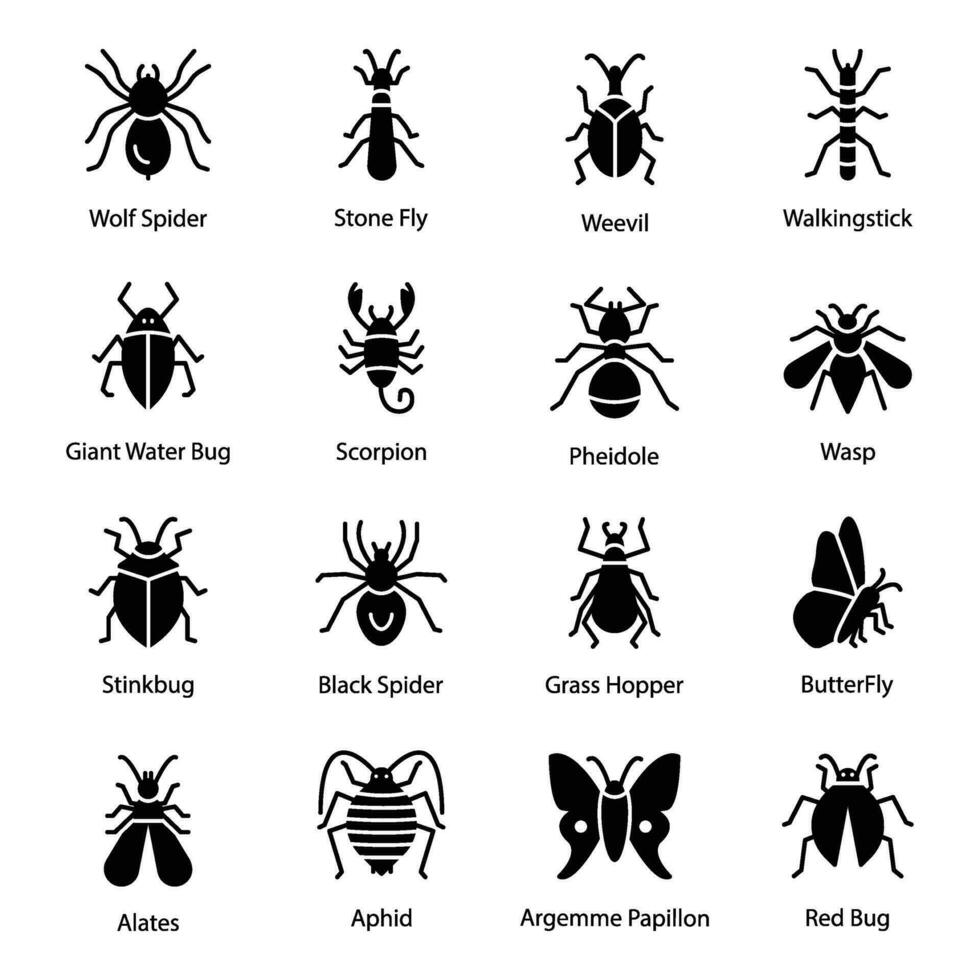 Pack von Insekten und Fehler Glyphe Symbole vektor