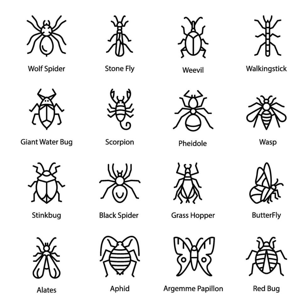 Pack von Insekten und Fehler Linie Symbole vektor