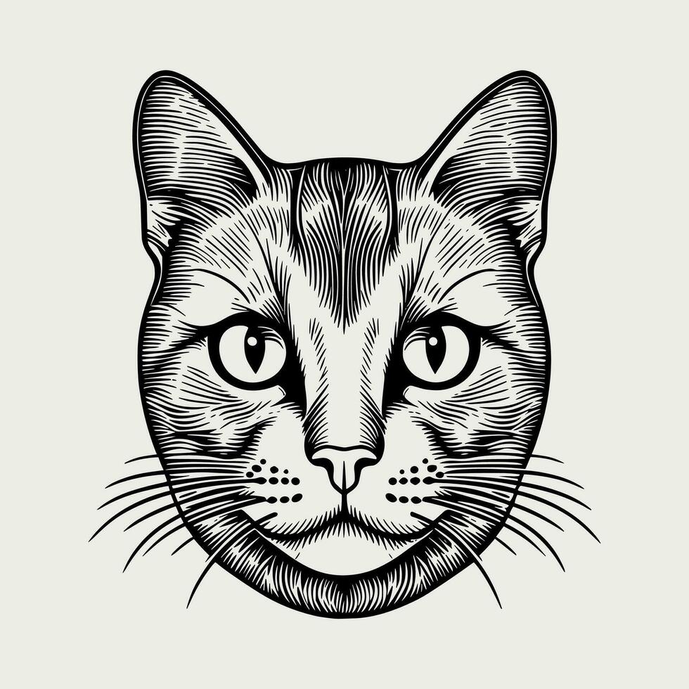 süß Katze Vektor schwarz und Weiß Karikatur Charakter Design Sammlung. Weiß Hintergrund. Haustiere, Tiere.