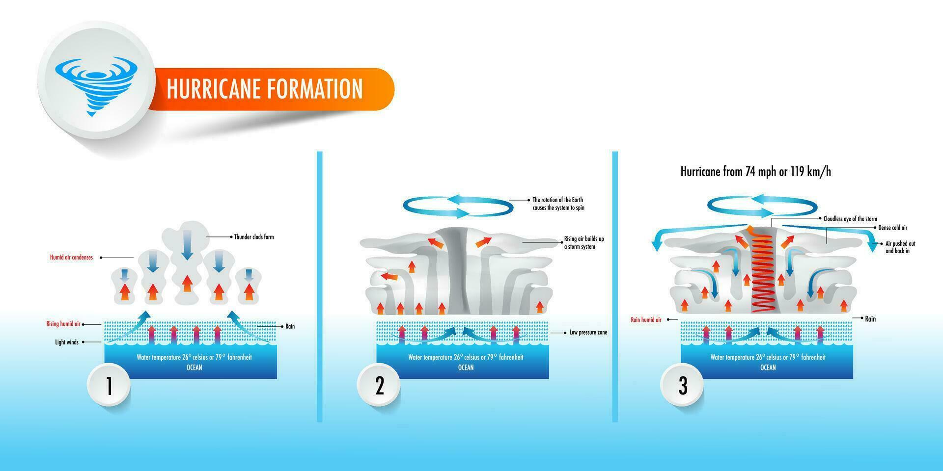 tropisch Zyklone Hurrikan Taifun Formation und Ozean vektor