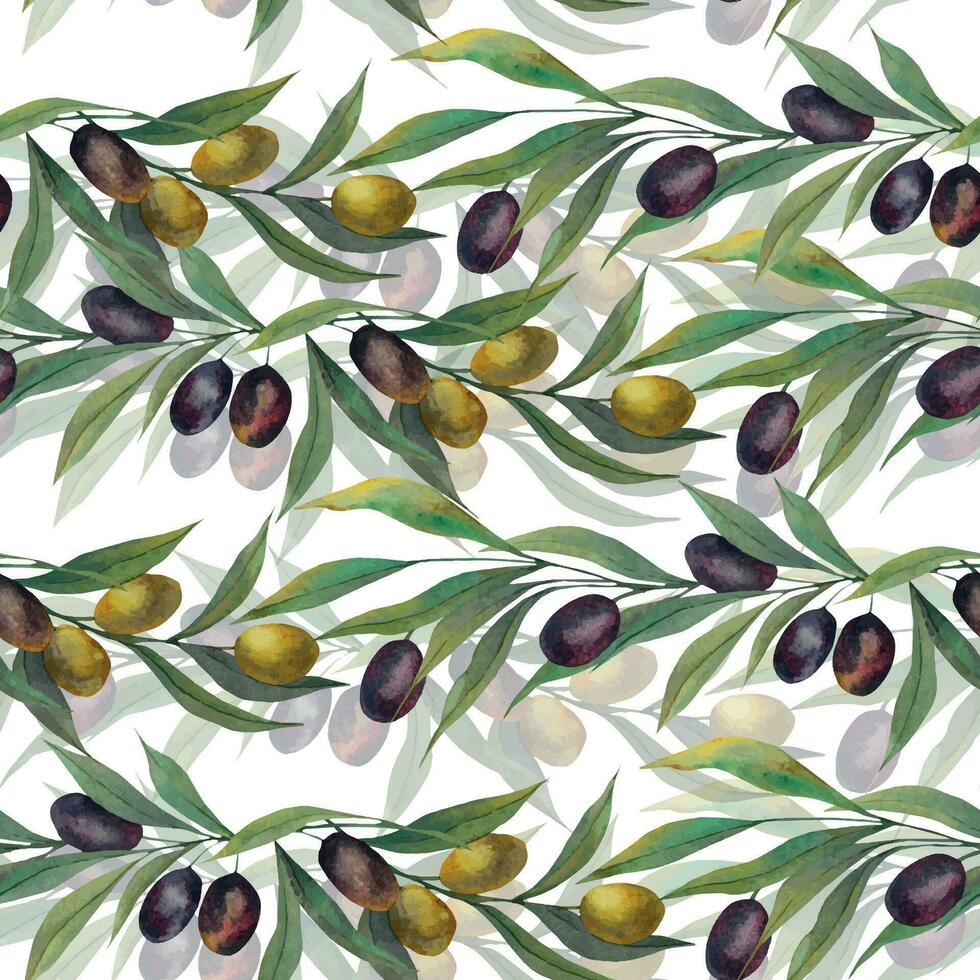 nahtlos Muster mit Aquarell Oliven. Hintergrund mit Olive Geäst hervorgehoben auf ein Weiß Hintergrund. Olive Geäst, Blätter und Früchte. zum Stoff, Verpackung Papier, Scrapbooking. vektor