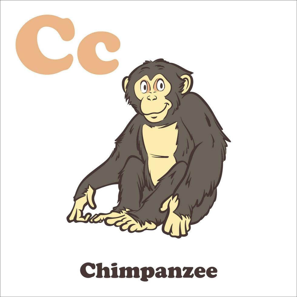 Schimpanse Alphabet Karikatur Charakter zum Kinder vektor