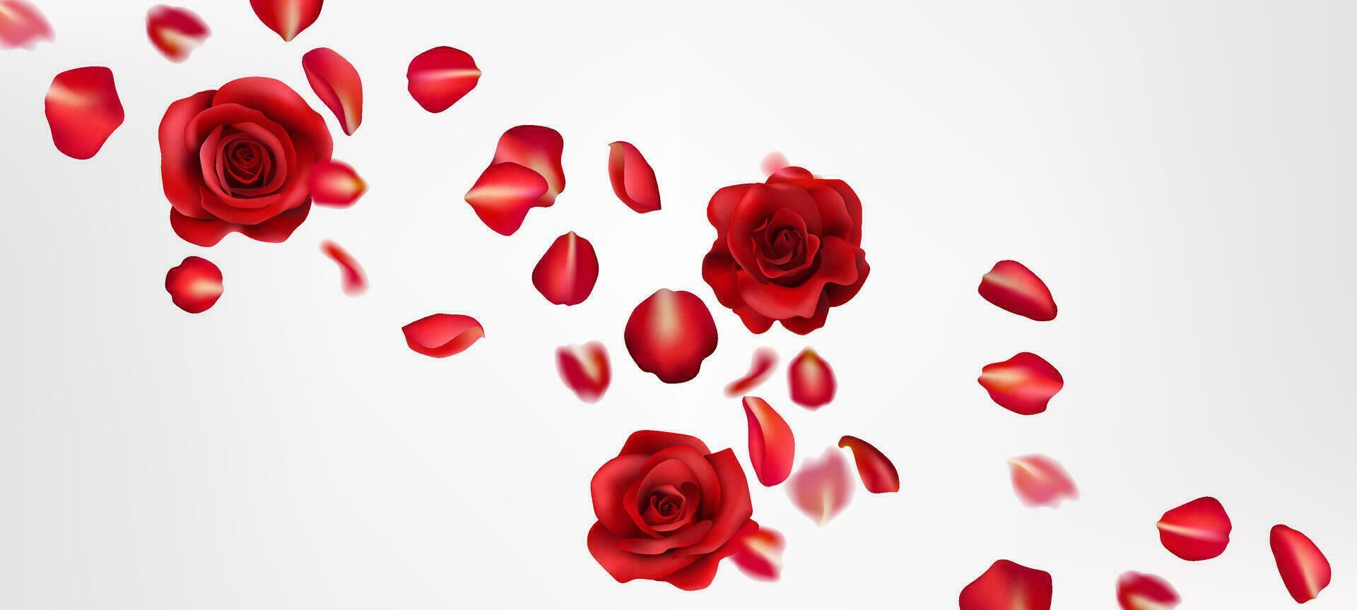 ein romantisch rot Rose realistisch Illustration, mit fliegend Blütenblätter. perfekt zum Valentinstag Tag, Hochzeiten, und Feierlichkeiten. realistisch Einzelheiten erstellen ein Schön, natürlich Design. nicht ai. vektor